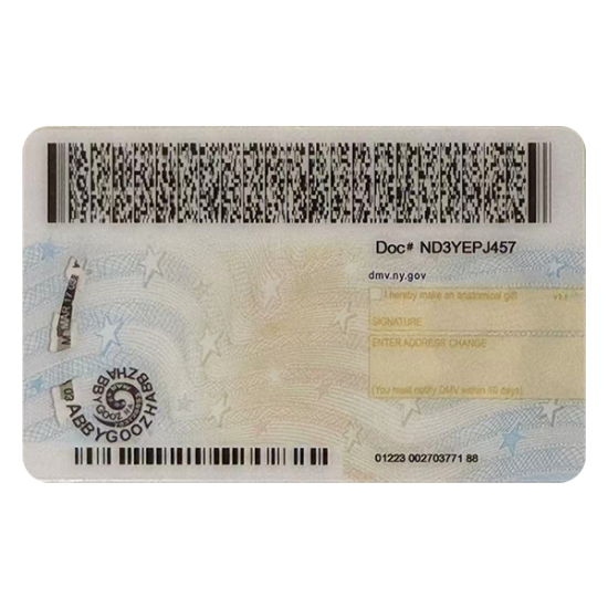 New York Fake DL (2025 Version)