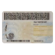 New York Fake DL (2025 Version)