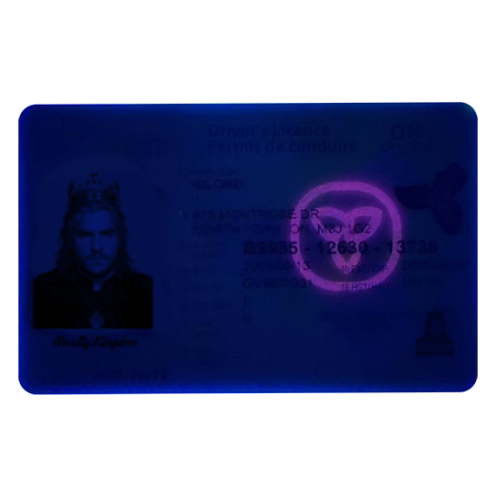 Ontario Fake DL (2025 version)