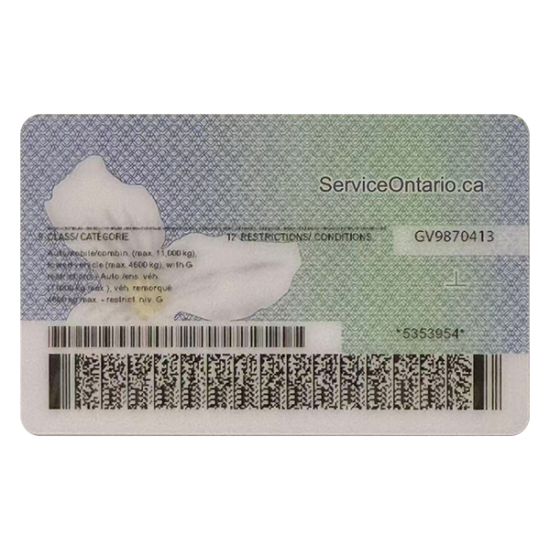 Ontario Fake DL (2025 version)