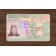 AMERICAN GREEN CARD (2025 VERSION)