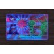 AMERICAN GREEN CARD (2025 VERSION)