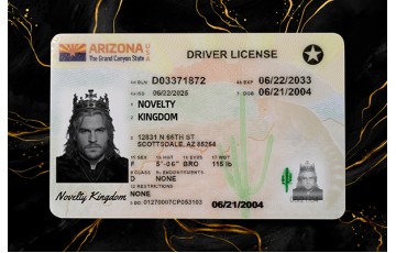 ARIZONA Fake DL (2025 VERSION)