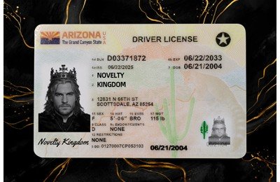 ARIZONA Fake DL (2025 VERSION)