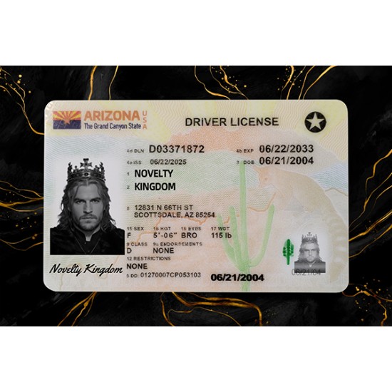ARIZONA Fake DL (2025 VERSION)