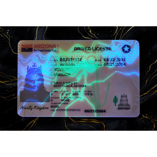 ARIZONA Fake DL (2025 VERSION)