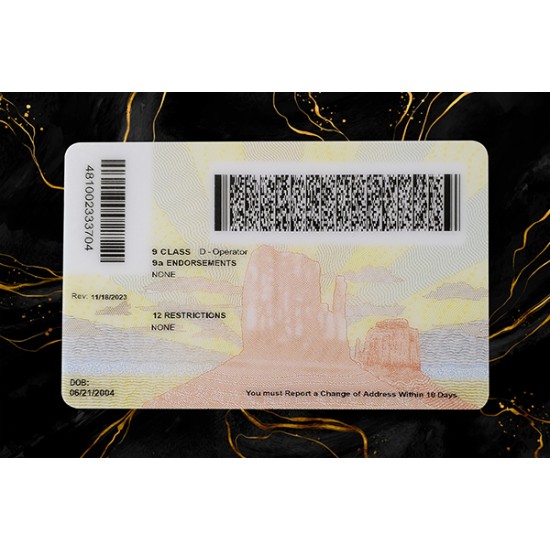 ARIZONA Fake DL (2025 VERSION)