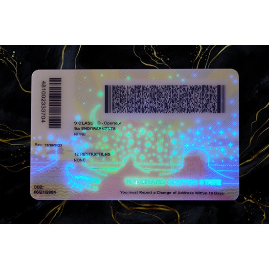 ARIZONA Fake DL (2025 VERSION)