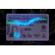 BRITISH COLUMBIA Fake DL (2025 VERSION)
