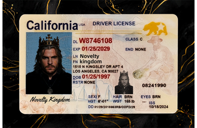 California Fake DL