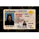 California Fake DL