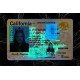California Fake DL