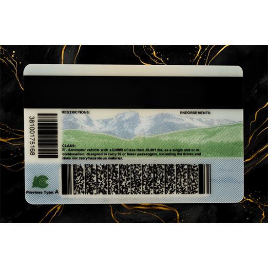 Colorado Fake DL