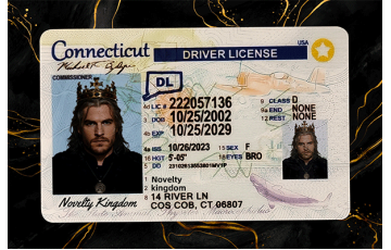 Connecticut Fake DL