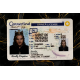 Connecticut Fake DL