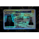 Connecticut Fake DL