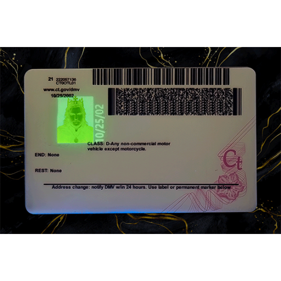 Connecticut Fake DL