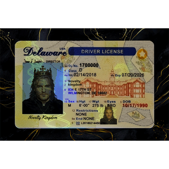 Delaware Fake DL