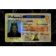 Delaware Fake DL