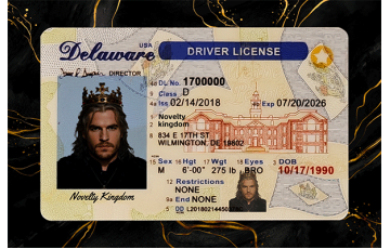 Delaware Fake DL