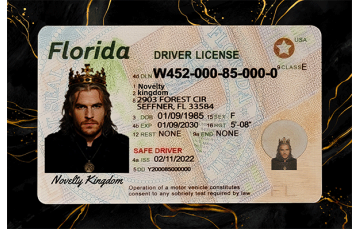 Florida Fake DL