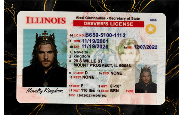 Illinois Fake DL