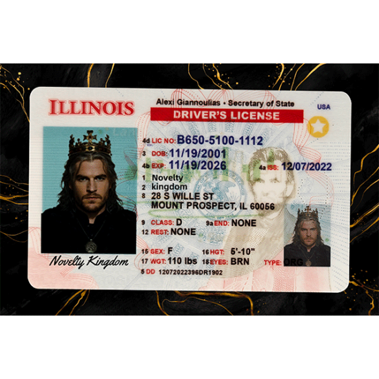 Illinois Fake DL