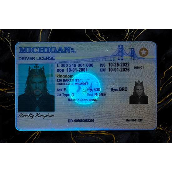 Michigan Fake DL