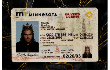 Minnesota Fake DL