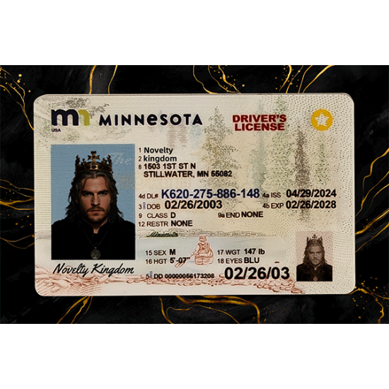 Minnesota Fake DL