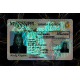 Mississippi Fake DL