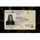 Manitoba Fake DL (2026 Version)