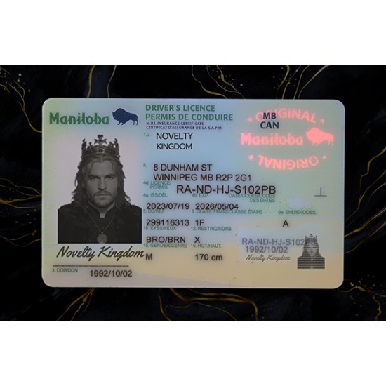 Manitoba Fake DL (2026 Version)