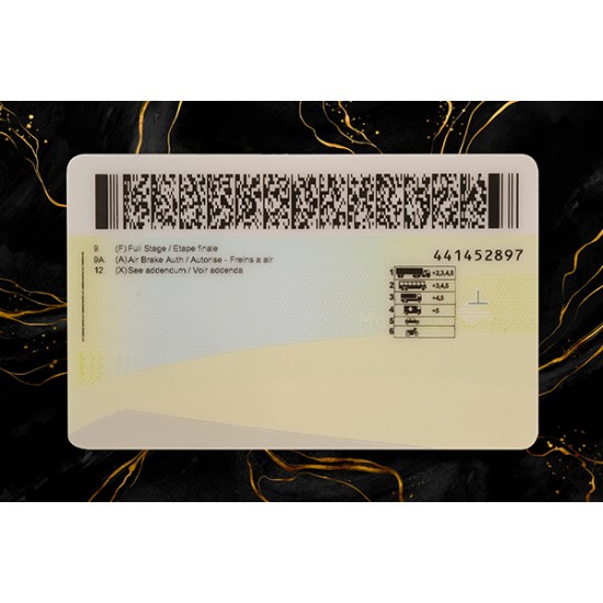 Manitoba Fake DL (2026 Version)