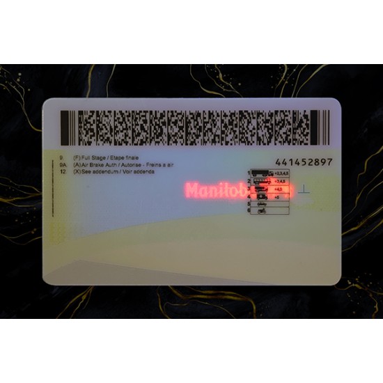 Manitoba Fake DL (2026 Version)