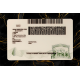 Massachusetts Fake DL