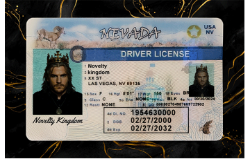 Nevada Fake DL