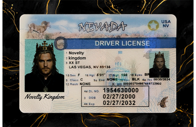 Nevada Fake DL