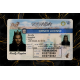 Nevada Fake DL
