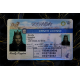 Nevada Fake DL