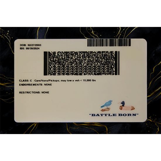 Nevada Fake DL