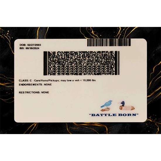 Nevada Fake DL