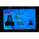 New York Fake DL