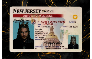 New Jersey Fake DL
