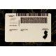 New Jersey Fake DL
