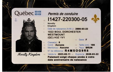 Quebec Fake DL