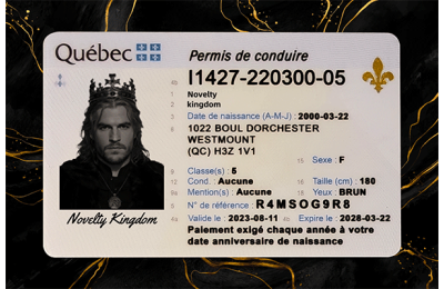 Quebec Fake DL