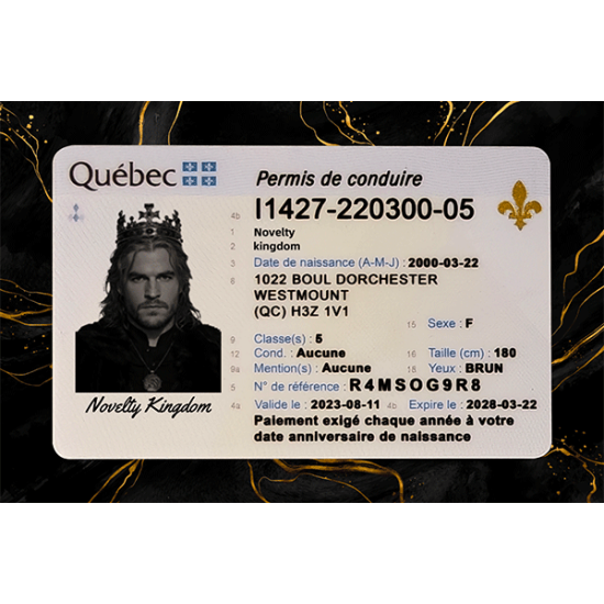 Quebec Fake DL