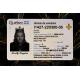 Quebec Fake DL