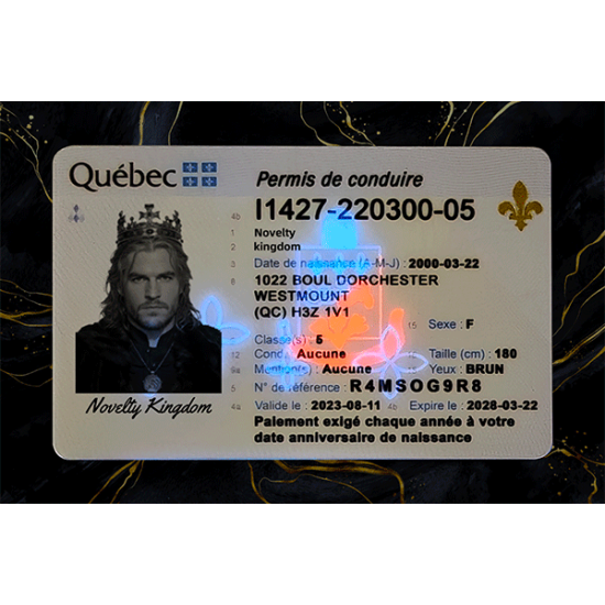 Quebec Fake DL